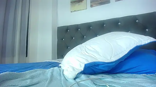Jesve webcam