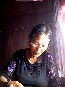 toyo_668 webcam