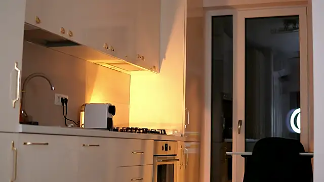 ElaraShine webcam