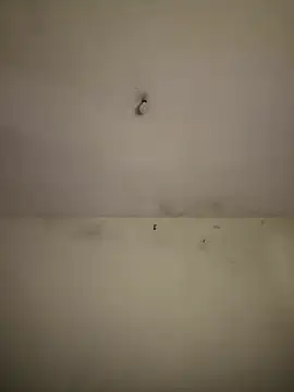arabayla webcam