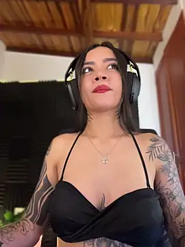 _iink_ webcam