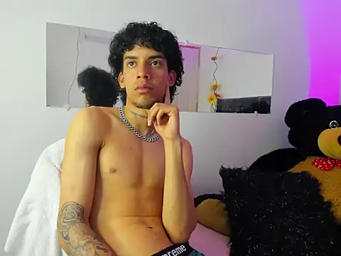 Ryder-Stone webcam