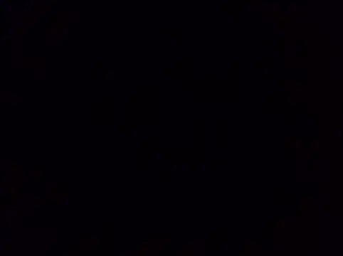 PussyLovergal webcam