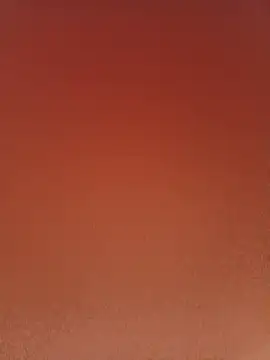 MiguelZhhgftj webcam