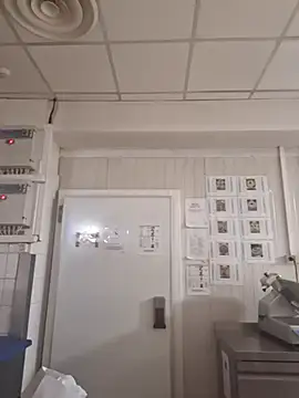 MattedOdobenus webcam