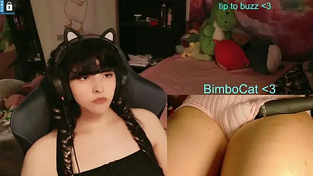 BimboCat webcam