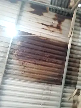 BigAss-69 webcam