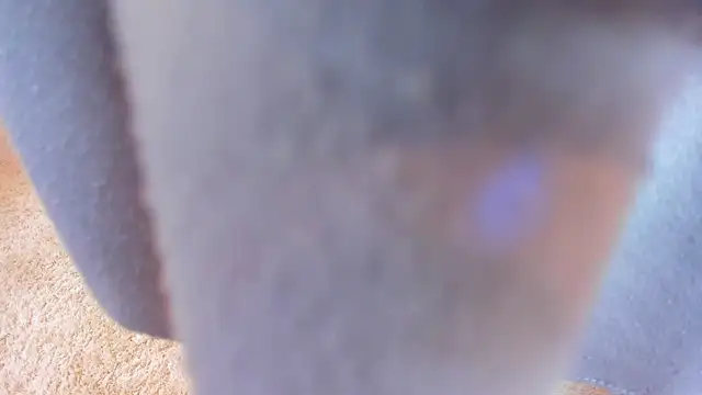 Pantyhose_Mila webcam