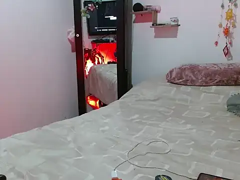 curvivan webcam