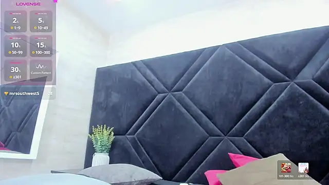 Dantzel_ webcam