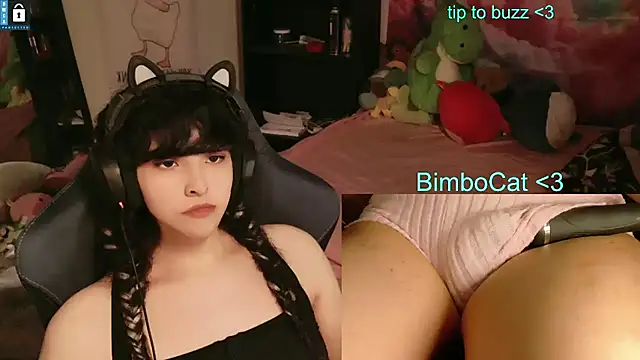 BimboCat webcam