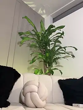 Frank_Farrell webcam