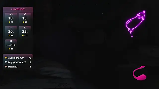 DIANATSS webcam