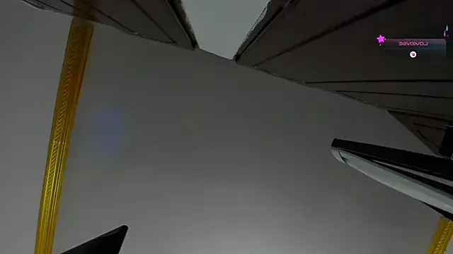 SunnyLeonz webcam