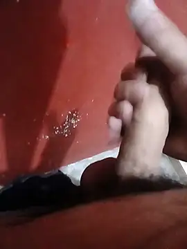 papi23l webcam