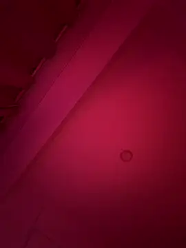 ZaraLuuv live sex cam
