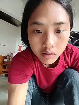 Hoa-tuylip