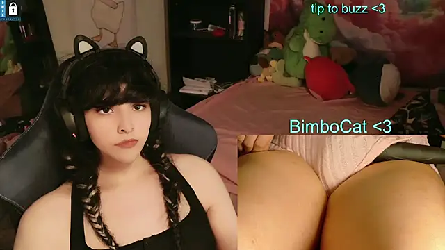 BimboCat webcam