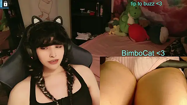 BimboCat webcam