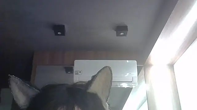 SkinnyKitten webcam