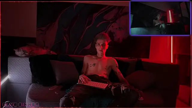 davesinner webcam