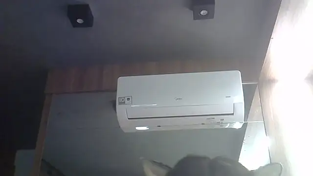SkinnyKitten webcam