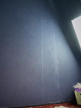 Asianpie_ webcam