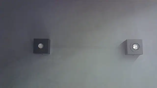SkinnyKitten webcam