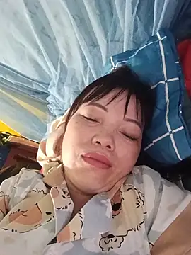 Sana-vn webcam