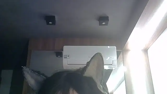 SkinnyKitten webcam