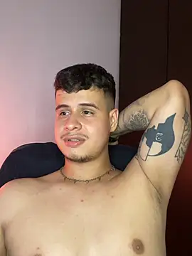 BjornSteel webcam