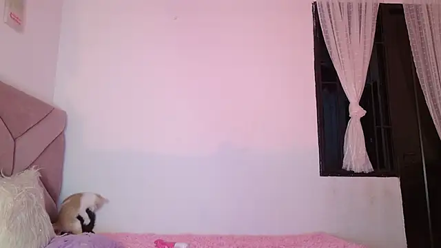 eva_sin18 webcam