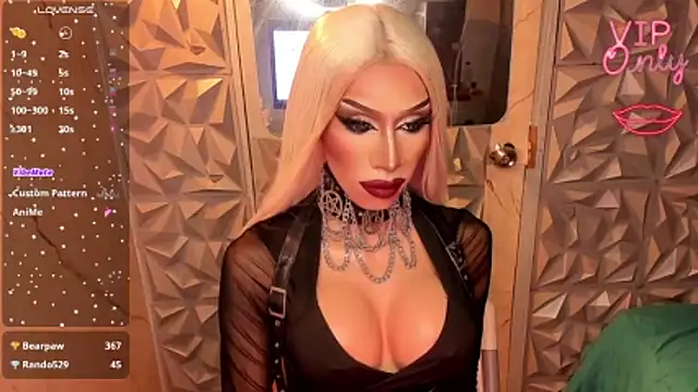 anitacruise webcam