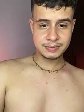 BjornSteel webcam