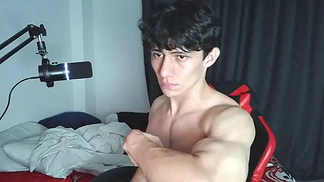 aresholland webcam