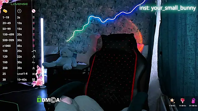 Your_small_bunny webcam