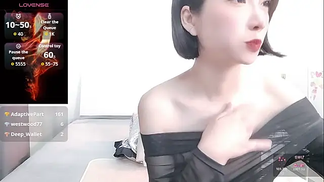 YIWA-2000 webcam