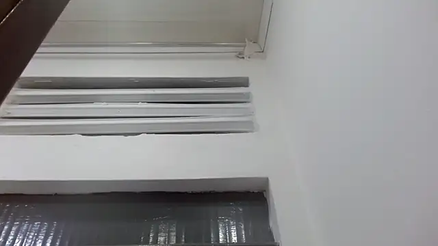 DaviidBuckx_ webcam