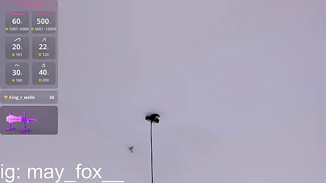 May_Fox_ webcam
