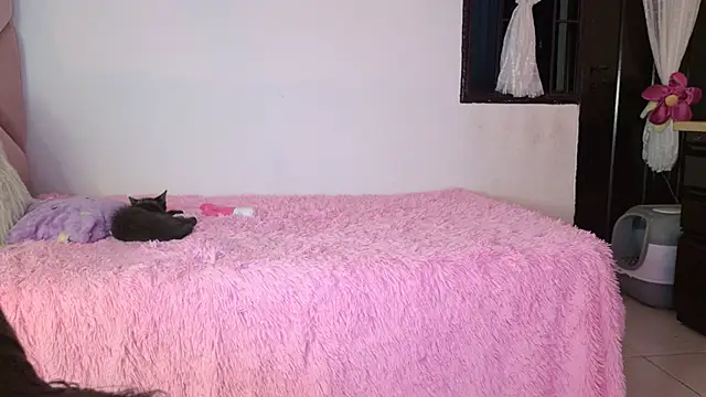 eva_sin18 webcam