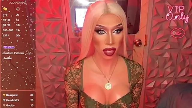 anitacruise webcam