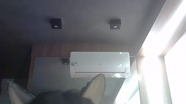 SkinnyKitten webcam