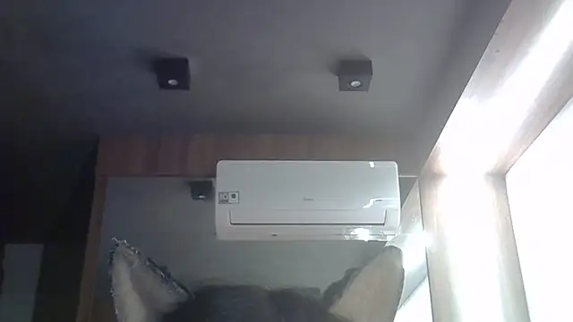 SkinnyKitten webcam