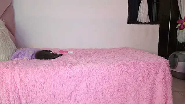 eva_sin18 webcam