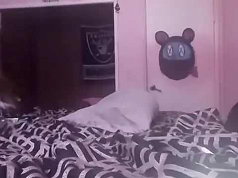 Blkstylion webcam