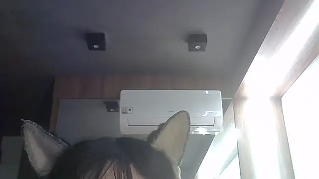 SkinnyKitten webcam
