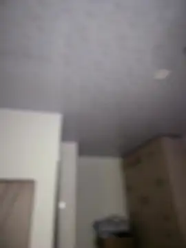 Iris_lee webcam