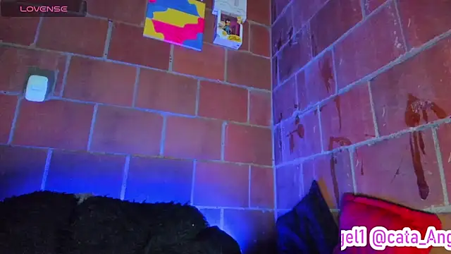 Cata-angel webcam