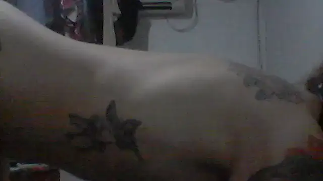 felopayl webcam