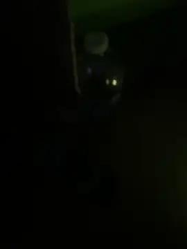 manecas3132 webcam